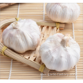 Pure white garlic 6.0 cm-10kg carton